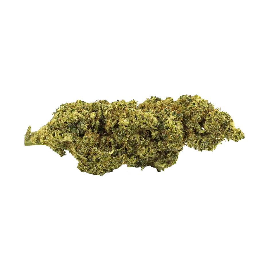 LEMON HAZE CBD – Image 2