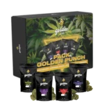 Pack Golden Punch