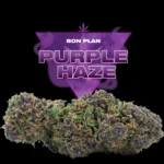PURPLE HAZE CBD