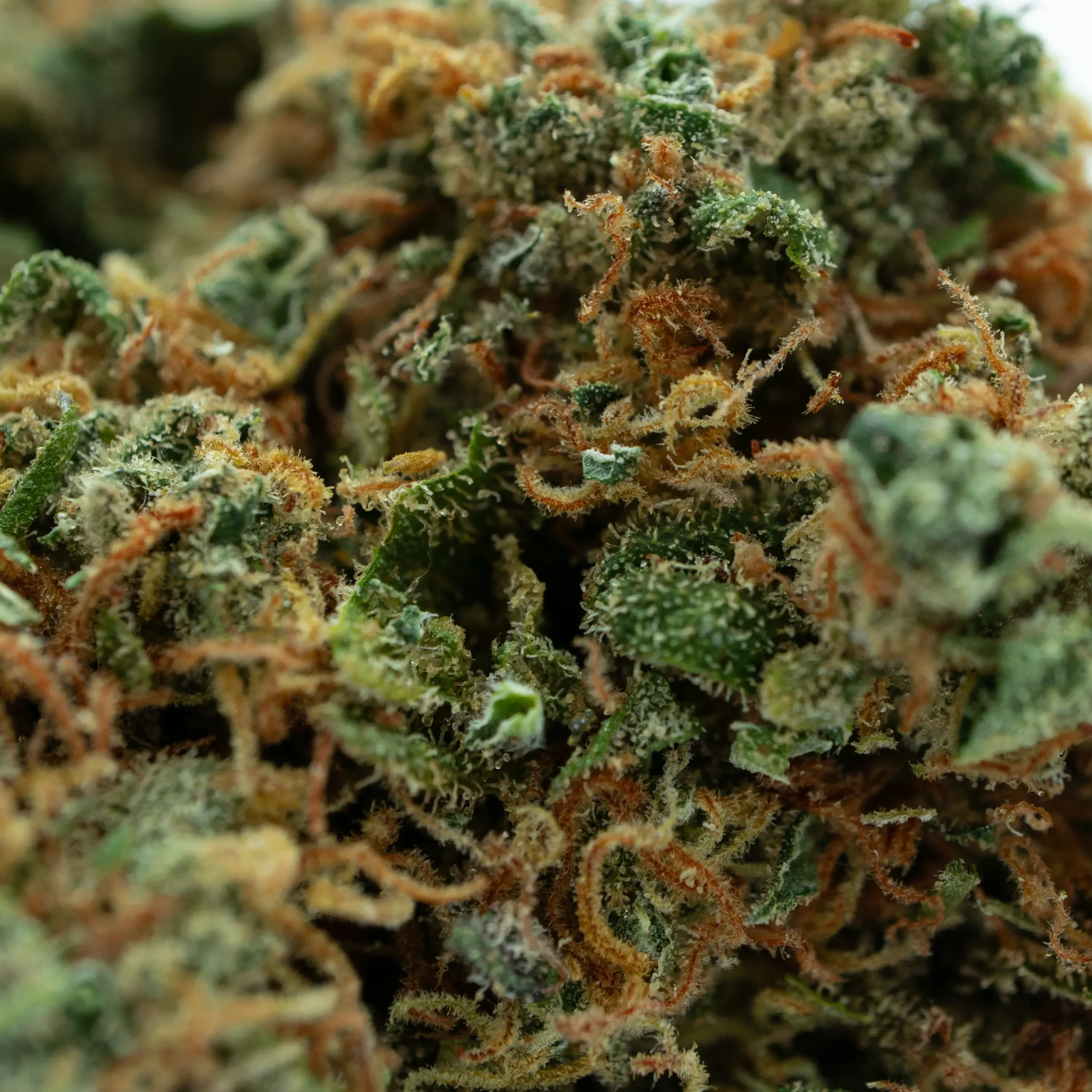 STRAWBERRY CBD – Image 2