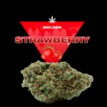 STRAWBERRY CBD