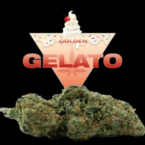 GELATO CBD