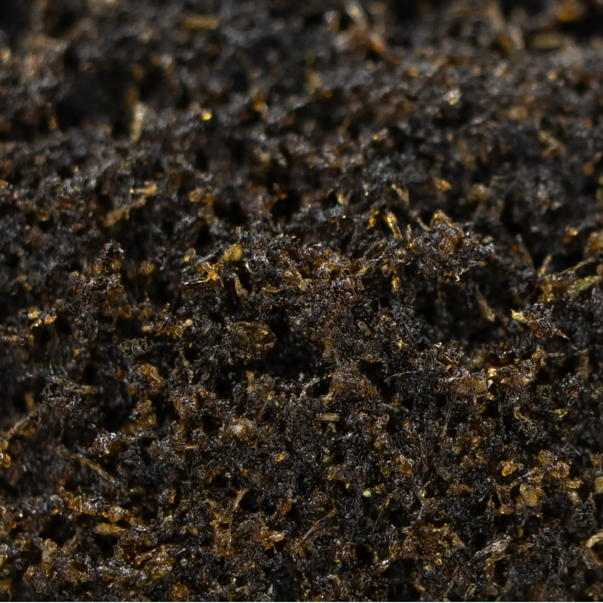 GIBRALTAR CBD – Image 2