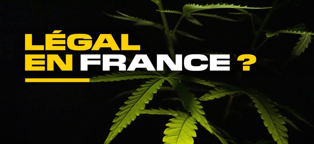 cbd legal en france