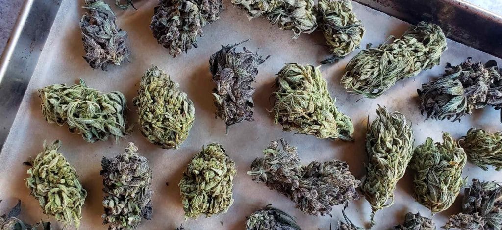 Décarboxylation cannabis