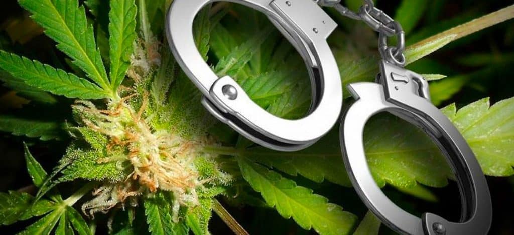 loi Tétrahydrocannabinol