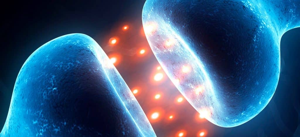 cannabinoides et cerveau