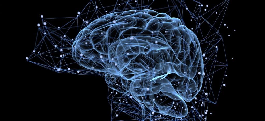 cerveau et cannabidiol