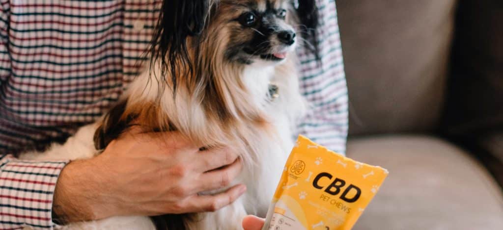 donne cbd chien
