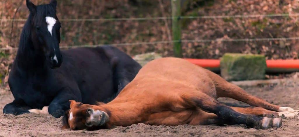 effet secondaire cbd