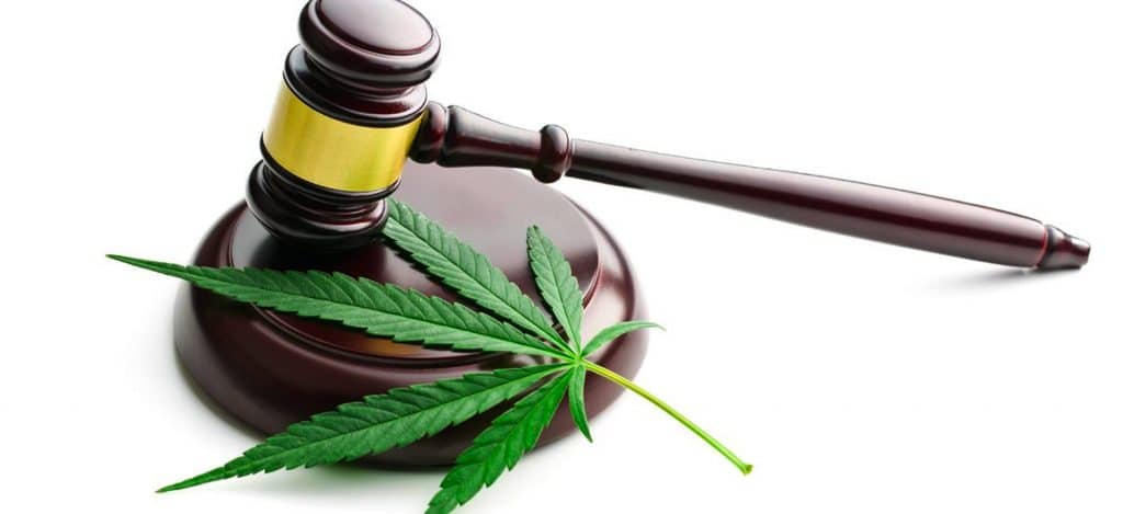 legislation cbd france