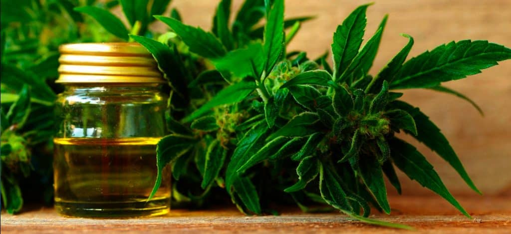 huile cbd