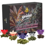 Pack vos Préférés