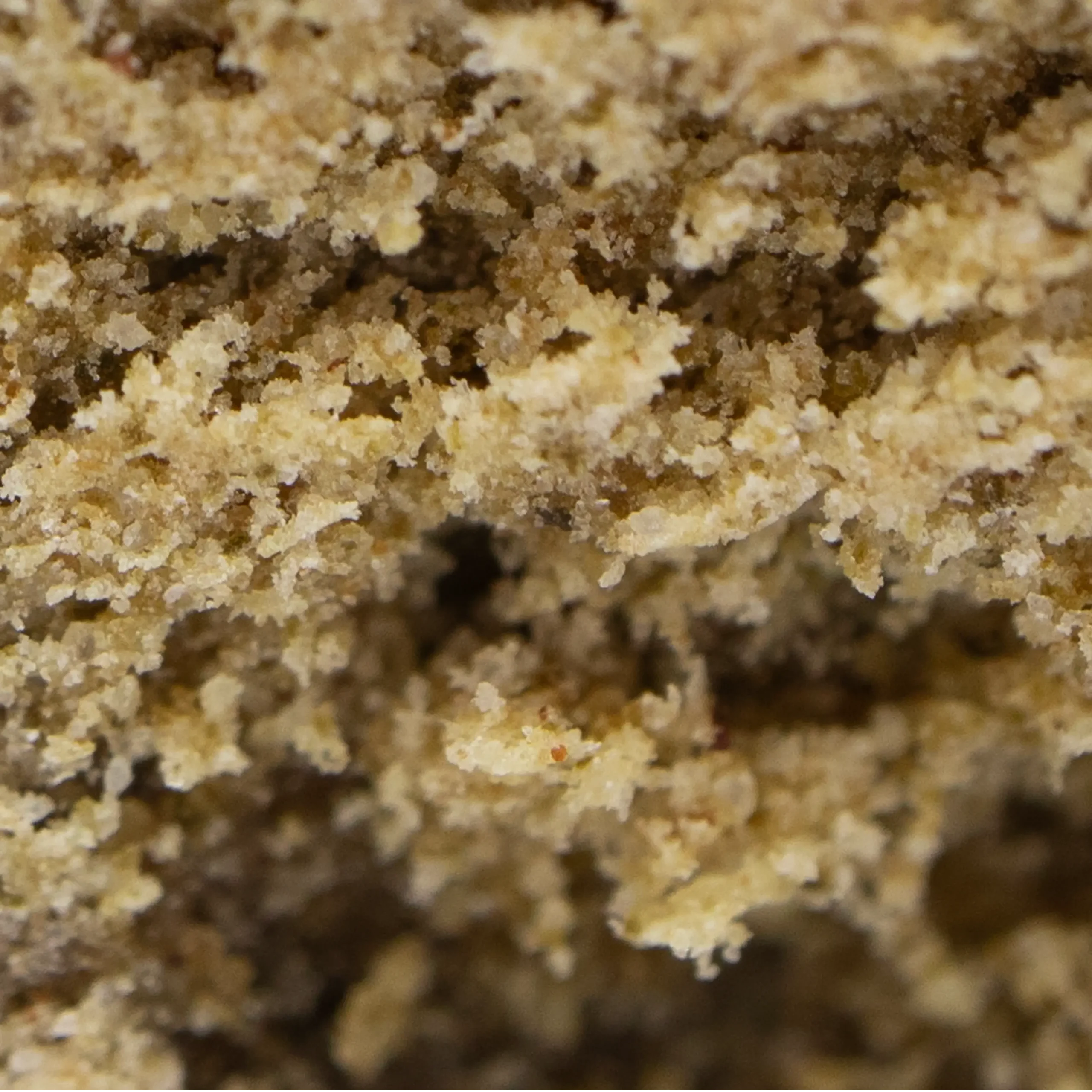 4X CBD 🇫🇷 – Image 2