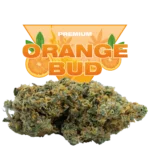 ORANGE BUD CBD