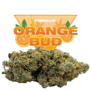 ORANGE BUD CBD