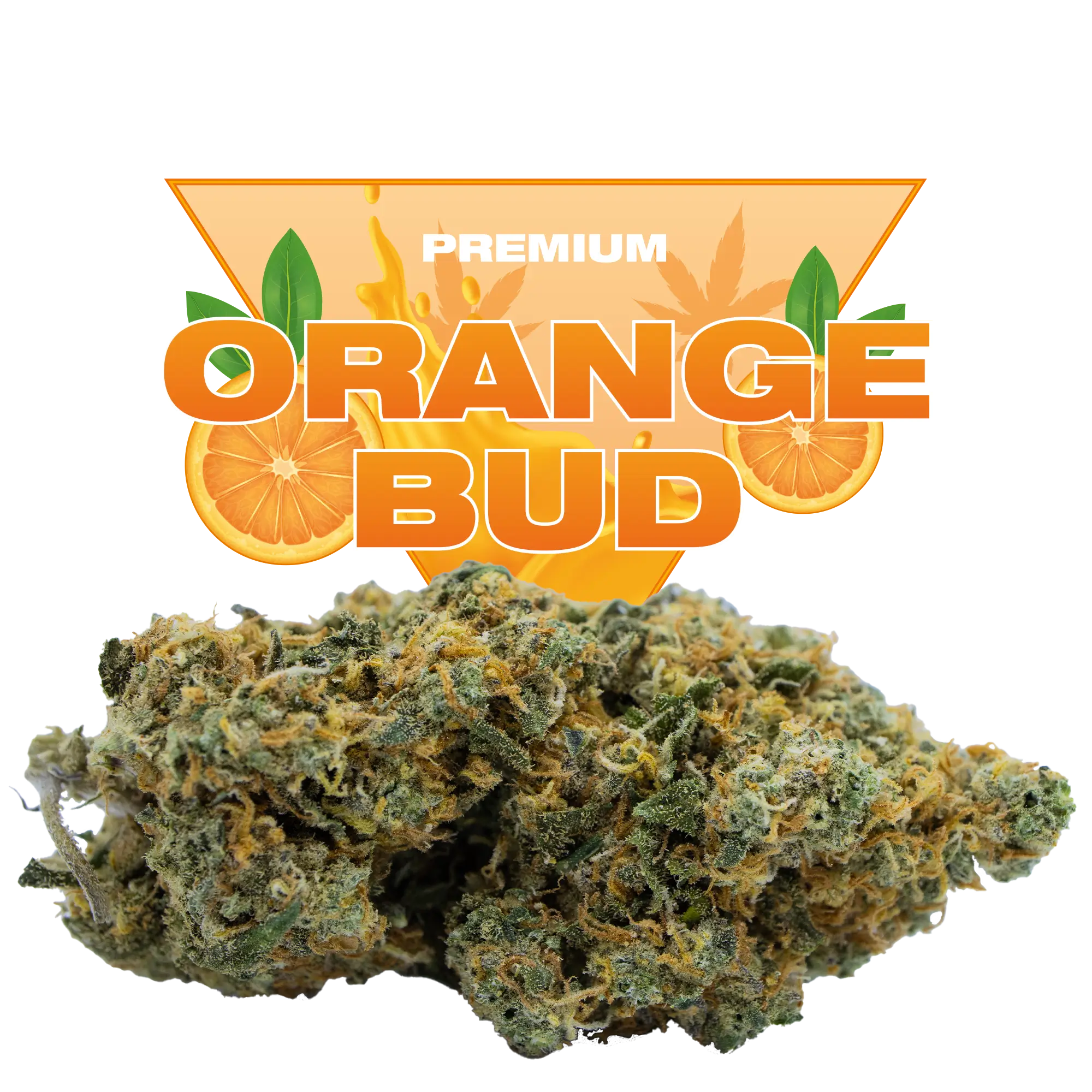 ORANGE BUD CBD