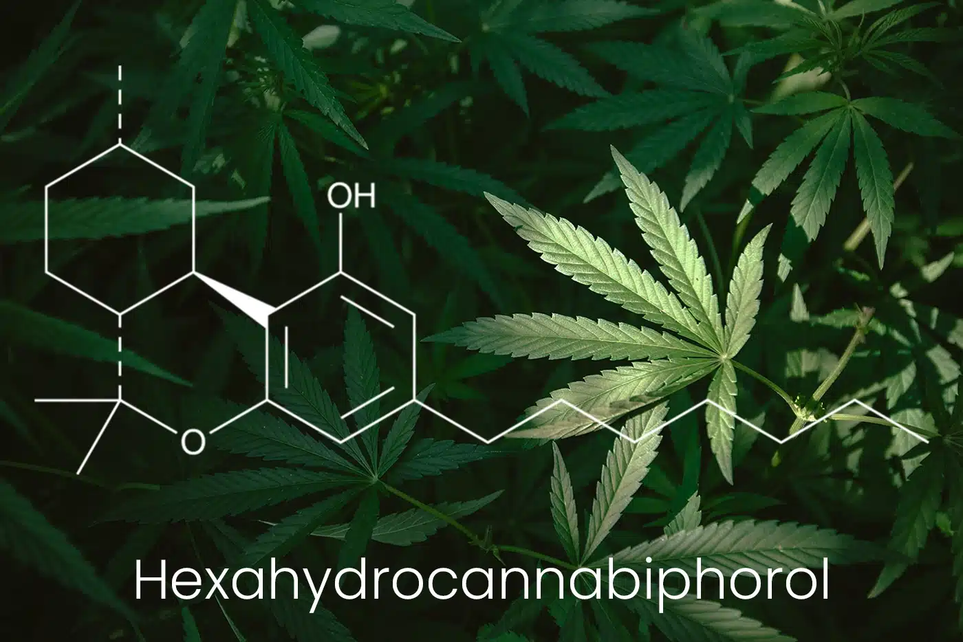Hexahydrocannabiphorol : Molecule du HHCP 