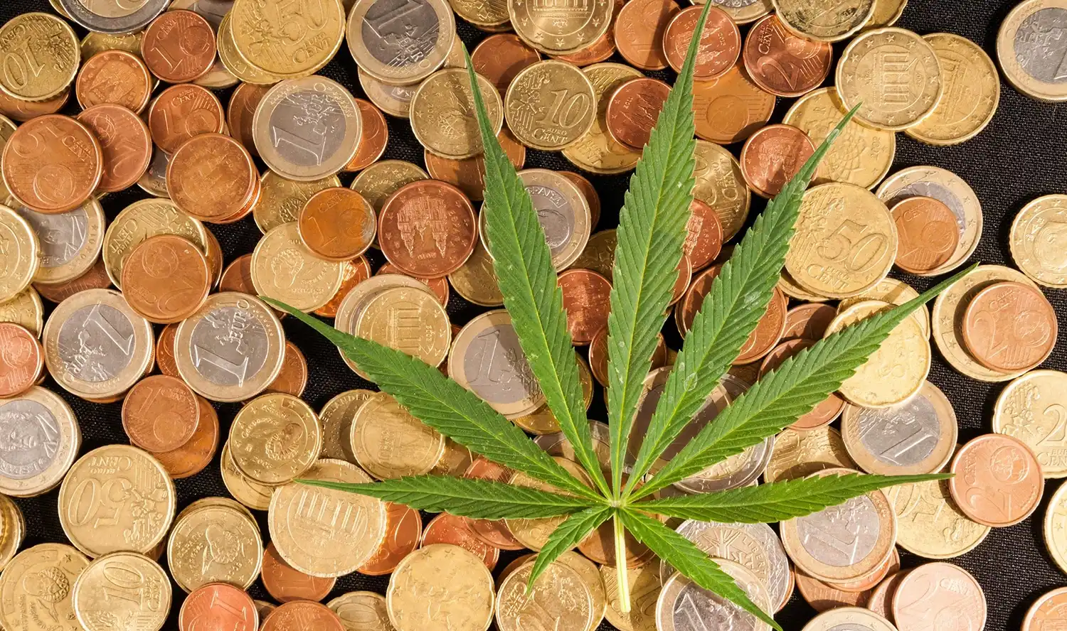 Optimiser votre budget en achetant du CBD