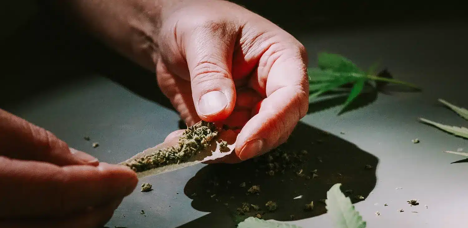 Feuille à rouler avec CBD