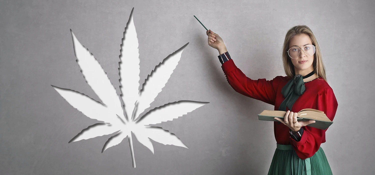 Femme devant un tableau avec une feuille de CBD