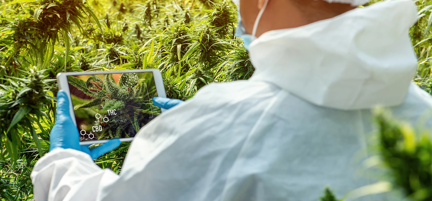 scientifique analyse un plan avec une tablette