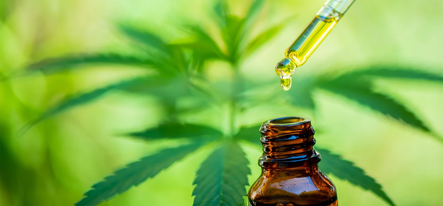 Flacon d'huile de CBD avec plan en arrière plan