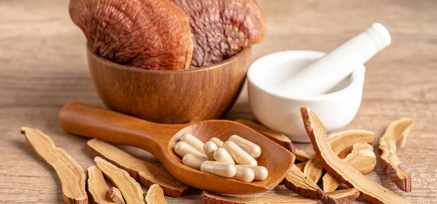 Champignons d'adaptogènes en géllules 