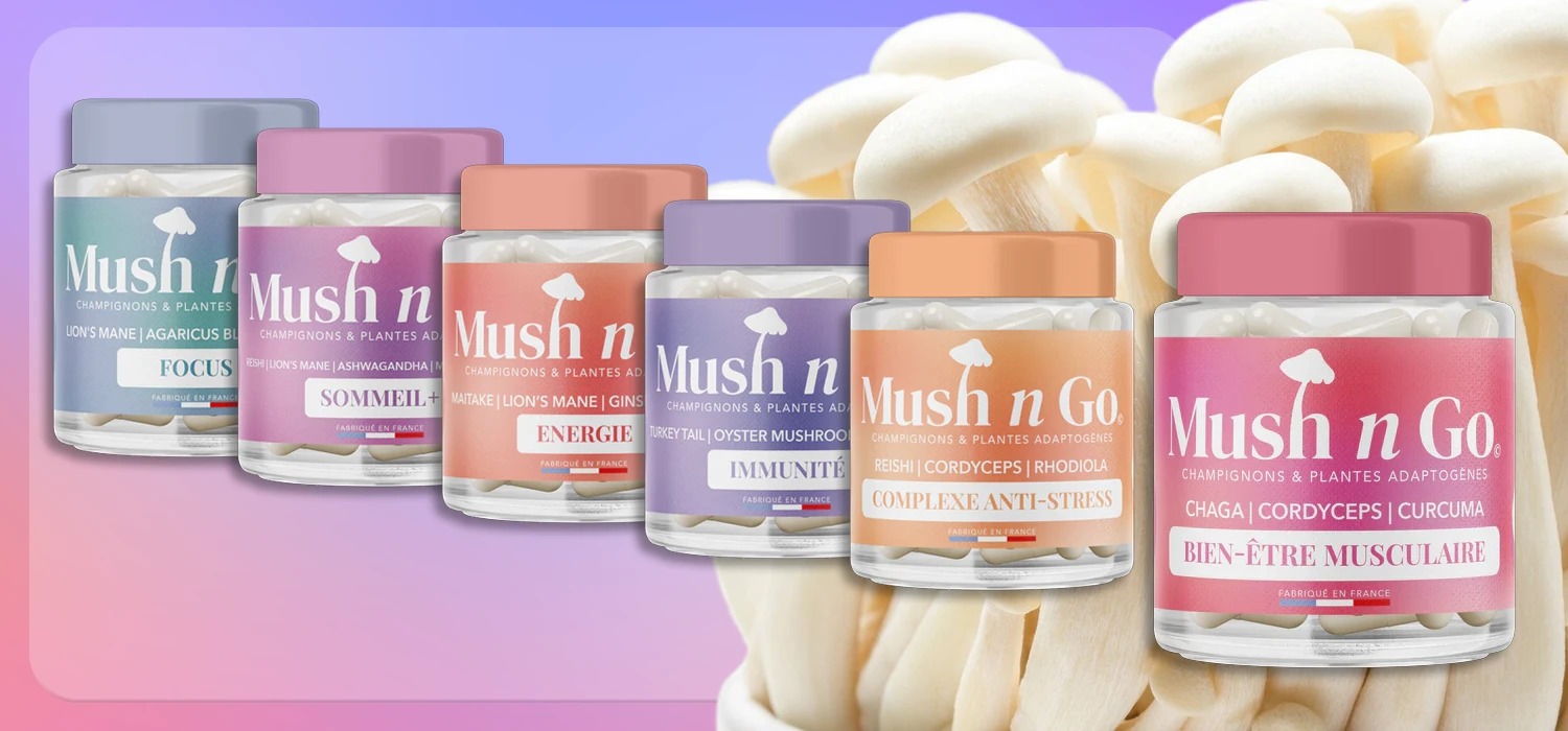 Boite de champignons Mush'n Go