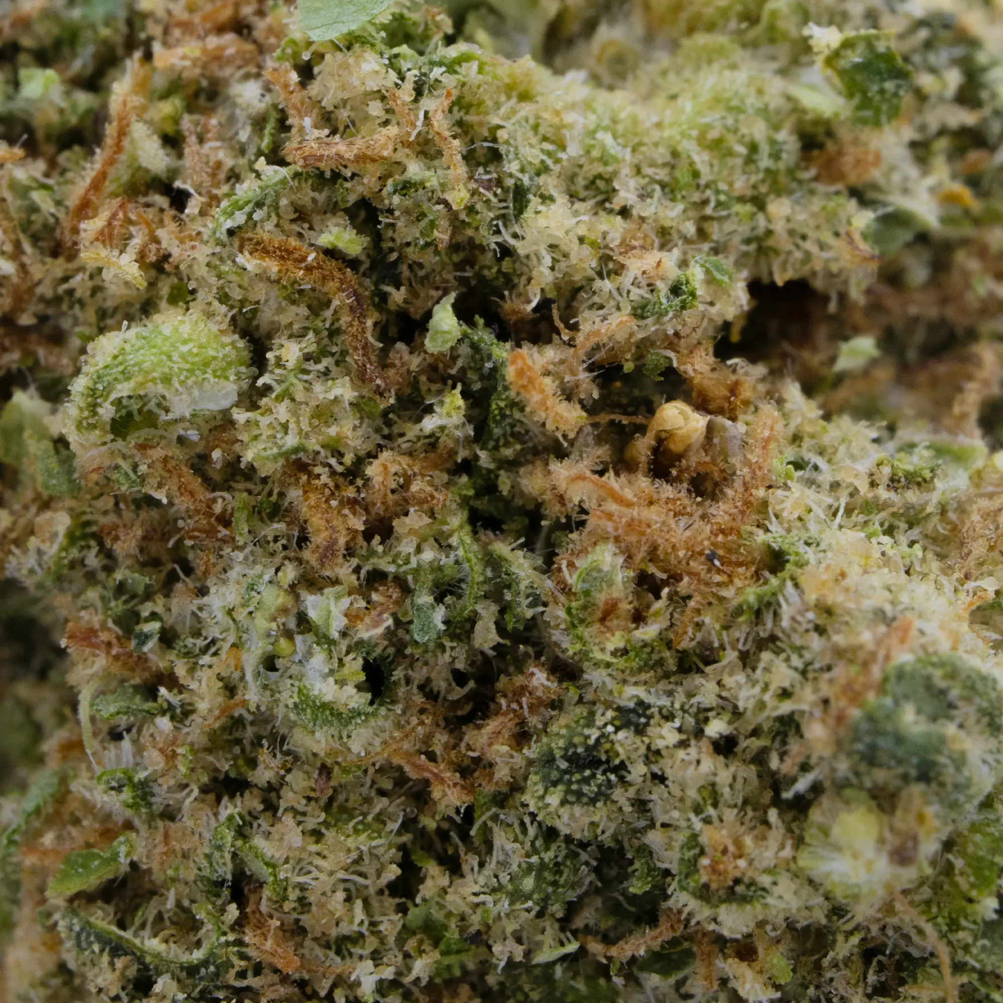 BRUCE BANNER CBD – Image 2