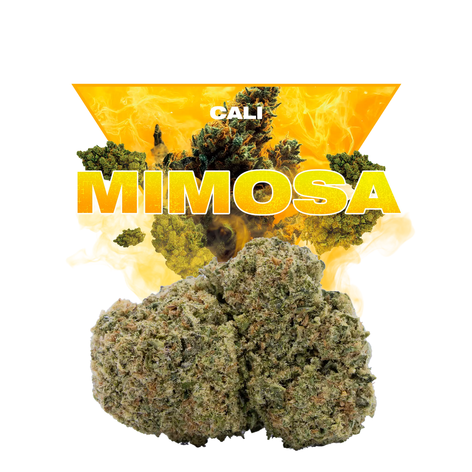 MIMOSA CBD
