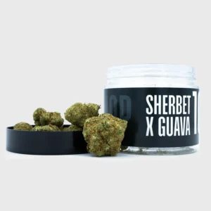 Sherbet x Guava CBD