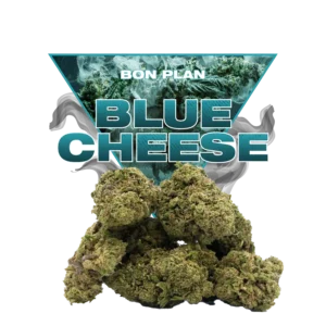 BLUE CHEESE CBD