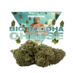BIG BUDDHA CHEESE CBD