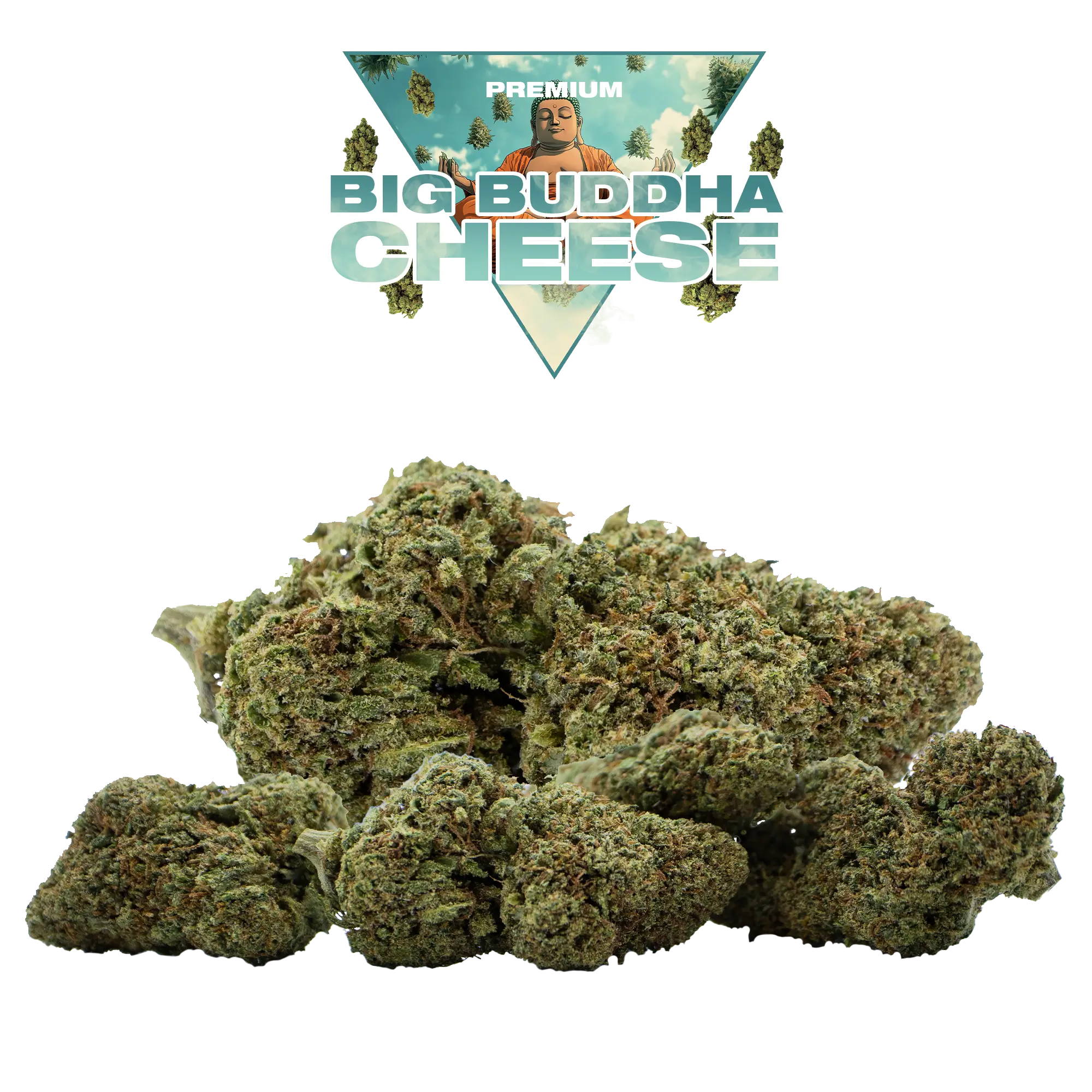 BIG BUDDHA CHEESE CBD – Image 2