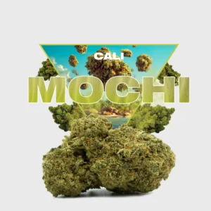 MOCHI CBD