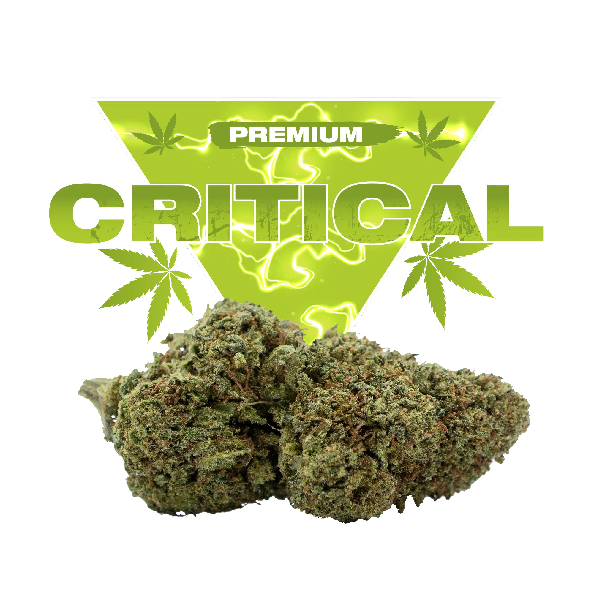 critical cbd