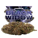 BLACK WIDOW CBD