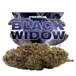 BLACK WIDOW CBD