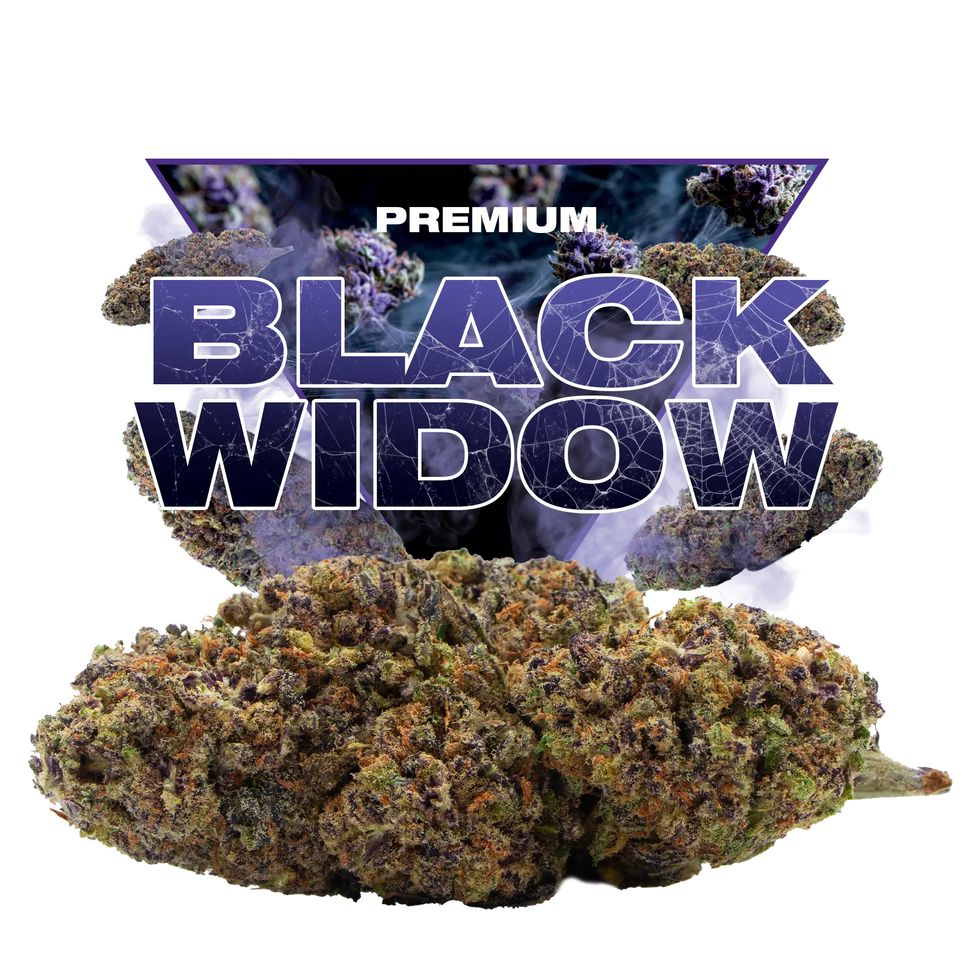 BLACK WIDOW CBD