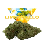 LIMONCELLO CBD